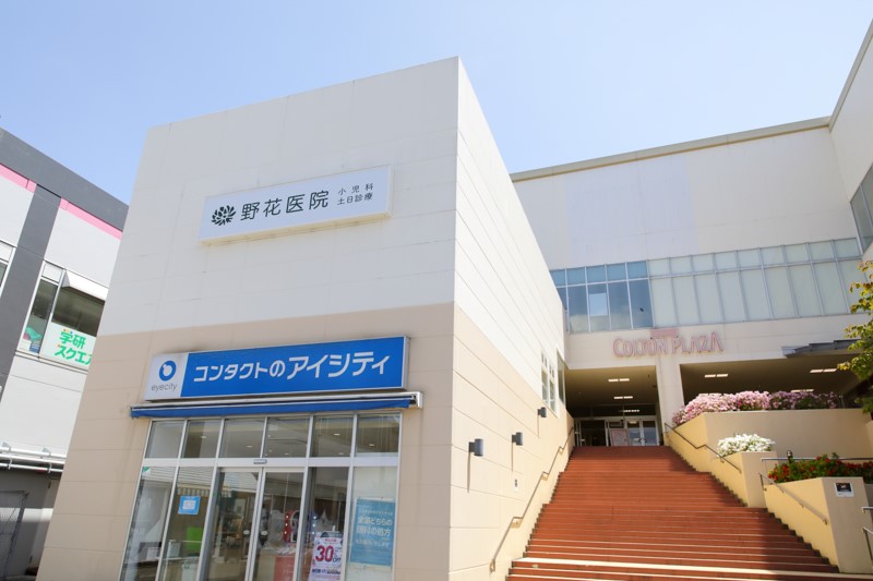 市川市の小児科専門医 院長 村山 淳子 野花医院 市川市の小児科専門医 院長 村山 淳子 野花医院